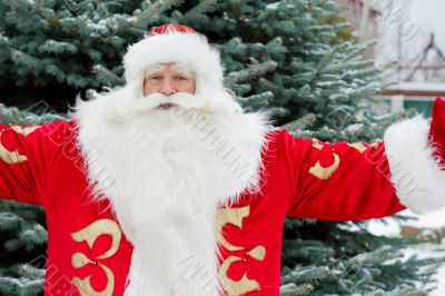 Portrait of Santa Claus standing with open hands outdoors at chr