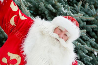 Portrait of natural Santa Claus standing at Christmas Tree outdo