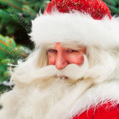 Santa Claus portrait smiling against christmas tree outdoor in s