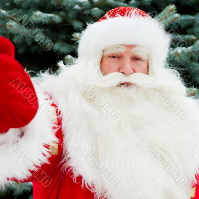 Portrait of natural Santa Claus standing at Christmas Tree outdo