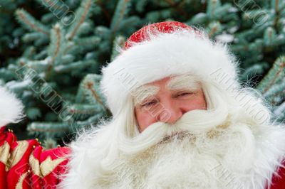 Portrait of natural Santa Claus standing at Christmas Tree outdo
