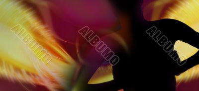 Silhouette of young attractive woman with flame of energy around