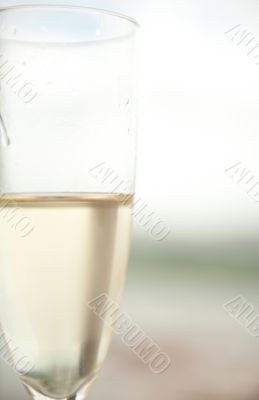 White wine glass 