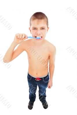 Beautiful boy brushing teeth, isolated on white