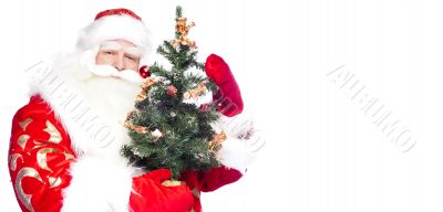 Christmas theme: Santa Claus holding christmas tree and his bag 