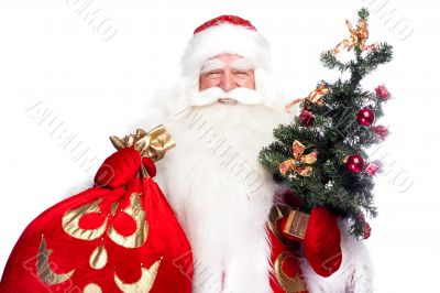 Christmas theme: Santa Claus holding christmas tree and his bag 