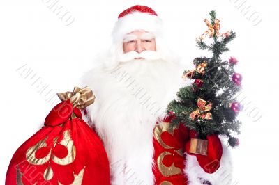 Christmas theme: Santa Claus holding christmas tree and his bag 