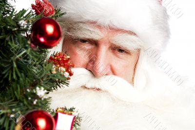 Christmas theme: Santa Claus holding christmas tree and his bag 