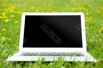 Laptop on grass