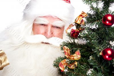 Christmas theme: Santa Claus holding christmas tree and his bag 