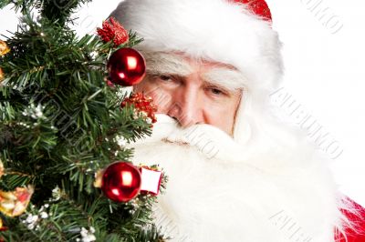 Christmas theme: Santa Claus holding christmas tree and his bag 