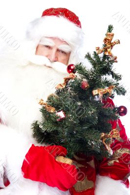Christmas theme: Santa Claus holding christmas tree and his bag 