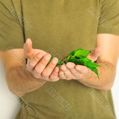 plant in hands