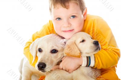 Handsome Young Boy Playing with His Dog Against White Background Handsome Young Boy Playing with His Dog Against White Background