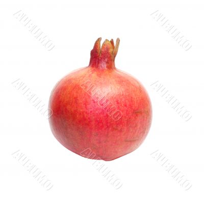 Pomegranate.