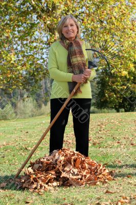 Woman raking up the autumn leaves Woman raking up the autumn leaves