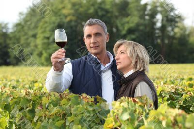 Couple tasting wine in vineyard