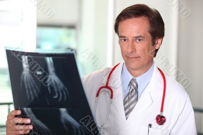 Doctor checking X-ray Doctor checking X-ray