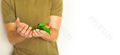 plant in hands