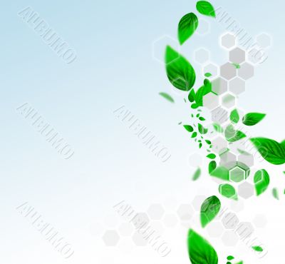 Spring leafs abstract background with place for your text. Ecolo