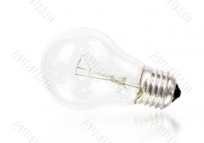 bulb bulb