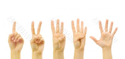 Counting woman hands (1 to 5) Counting woman hands (1 to 5)