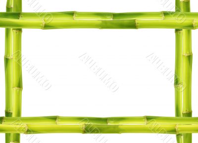 Bamboo frame made of stems Bamboo frame made of stems