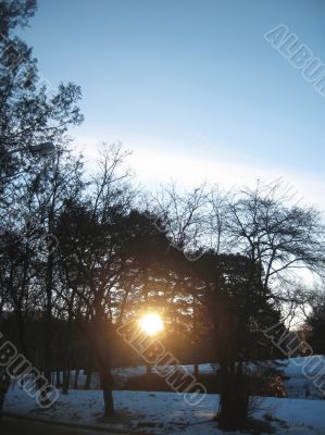 Sunrise in the winter forest. Caucaus nature