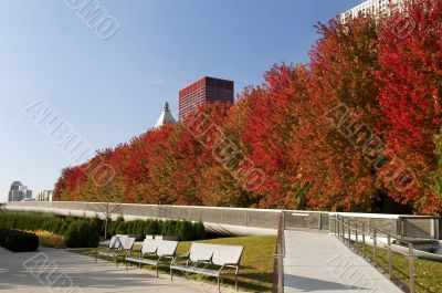 Autumn in Chicago