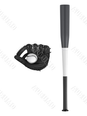 Baseball bat and glove