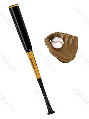 Baseball bat and glove