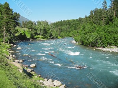Wild caucasus river Zelenchuck. Arhyz. Cherkessia republic Wild caucasus river Zelenchuck. Arhyz. Cherkessia republic