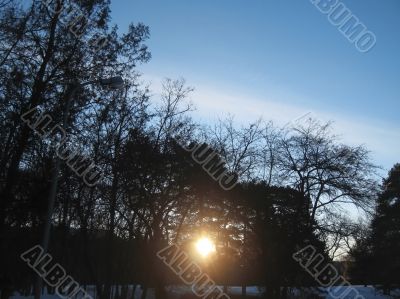 Sunrise in the winter forest. Caucaus nature Sunrise in the winter forest. Caucaus nature