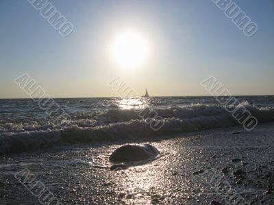 Lonely sail drifting under the big sun Lonely sail drifting under the big sun