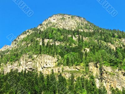 Caucasus mountains and forest under clear blue sky