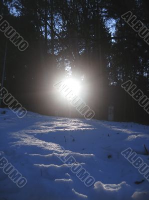 Sunrise in the winter forest. Caucaus nature