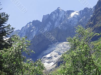 Caucasus mountains and forest under clear blue sky