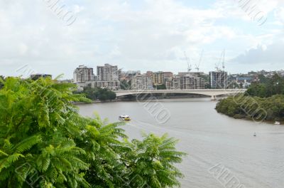 Brisbane city and Captain Cook bridge