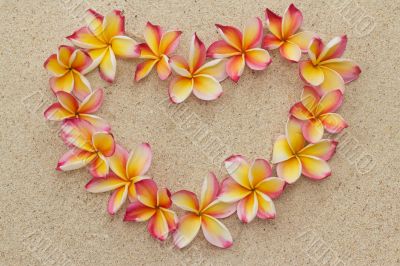 Frangipani/plumeria flower frame in shape of heart on sand