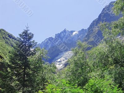 Caucasus mountains and forest under clear blue sky
