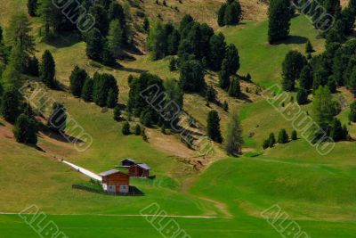 green landscape