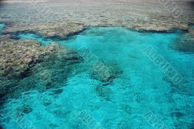 coral reef coral reef