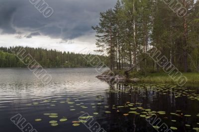forest lake in Finland