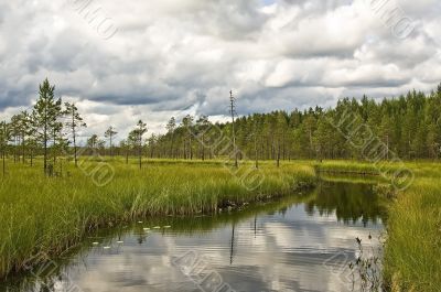 River Forest in Finland