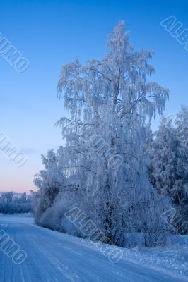 russian winter