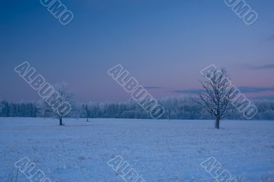 russian winter