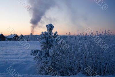 russian winter