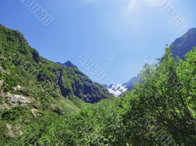 Caucasus mountains and forest under clear blue sky