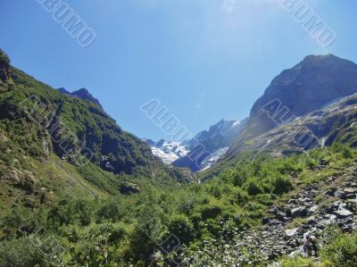 Caucasus mountains and forest under clear blue sky