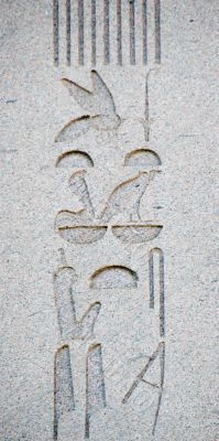 Hieroglyphics from the Obelisk of Thutmosis III in Istanbul